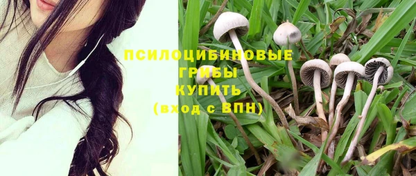 круглые Алексин
