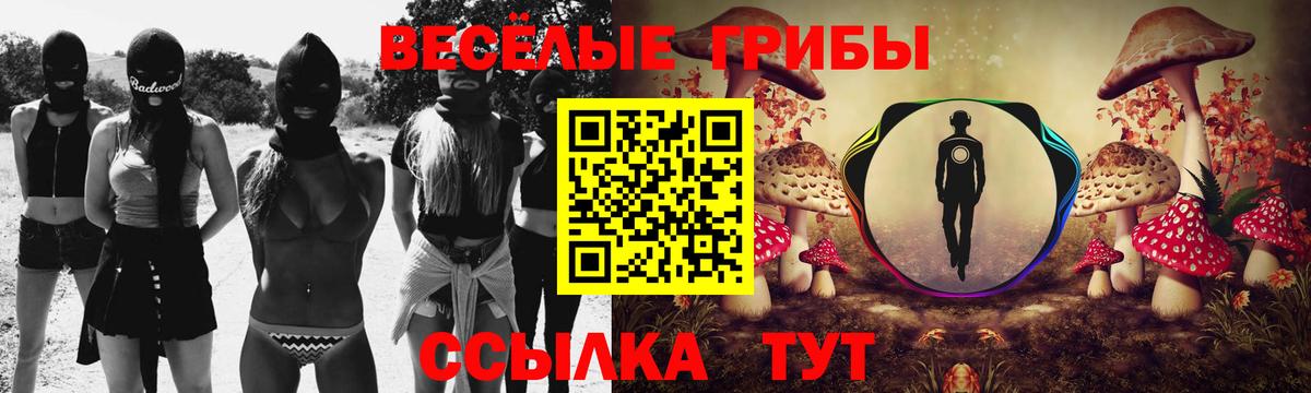Псилоцибиновые грибы Magic Shrooms  Вход с VPN  Тюмень  Галлюциногенные грибы Magic Shrooms 